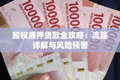 武汉股权质押贷款全攻略：流程详解与风险预警
