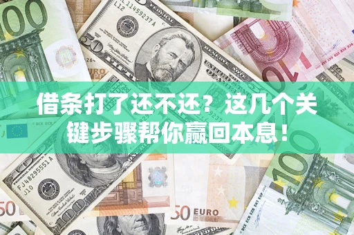 武汉借条打了还不还？这几个关键步骤帮你赢回本息！