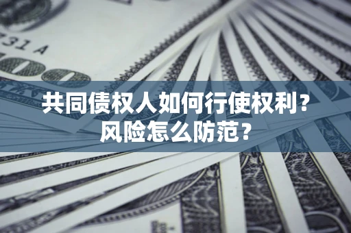 武汉共同债权人如何行使权利？风险怎么防范？