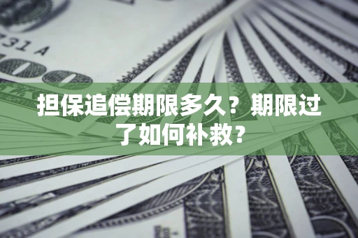 武汉担保追偿期限多久？期限过了如何补救？