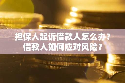 武汉担保人起诉借款人怎么办？借款人如何应对风险？
