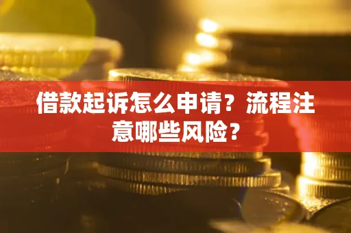 武汉借款起诉怎么申请？流程注意哪些风险？